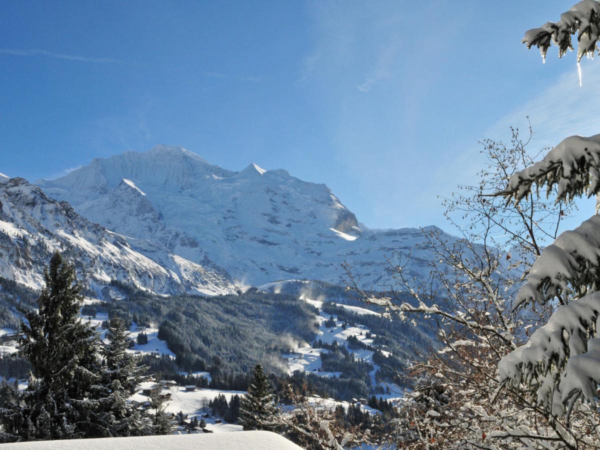 Apartment Im Gruebi-1 By Interhome Wengen Exterior foto